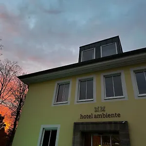 hotel-ambiente.topcolognehotels.com/